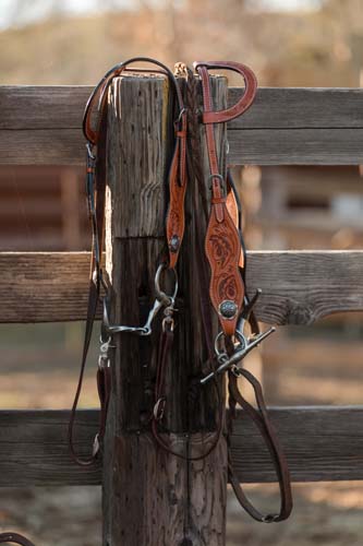 Headstall Sets