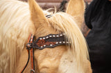 Go Getter Fringe Headstall and Breast Collar Set