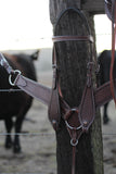 Range Rider Headstall Set